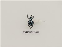 藏品(大圓斑球背象鼻蟲)的圖片